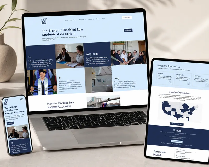 Website design for NDLSA